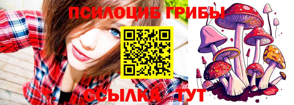 Галлюциногенные грибы мухоморы  Галлюциногенные грибы мухоморы  Белебей  Вход с VPN 